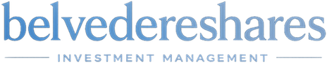 belvedereshares header h90